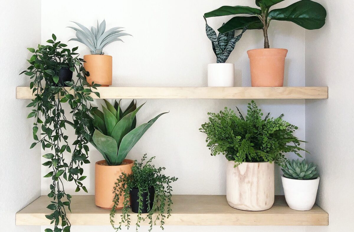 A Guide On Artificial Plants For Commercial Buildings