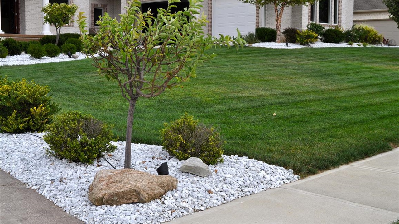 Cost-Effective Ways to Buy White Landscaping Rock in Bulk